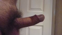 steve1