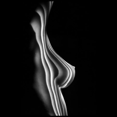 Lights (COLLECTION)
