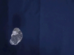 GiFs 1434
