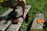 Pissing outdoor on a wooden table