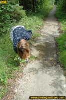 MILF pissing outdoor on park path