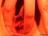 Amateur Pussy Masturbation