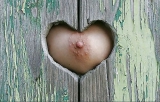 Fetichisme 2