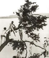 Vintage 18 (1850-1920)