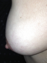 Mit dem neuen Hausfreund im VAN