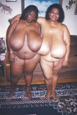 Nice little titties