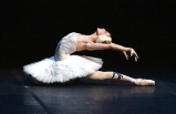 Ballerinas