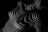 Lights (COLLECTION)