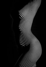 Lights (COLLECTION)