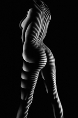 Lights (COLLECTION)