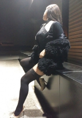 Promener sa chienne en week end