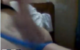 la zorra de Alondra