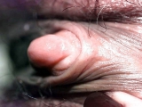 Pussy lips and clit