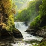 guesss who 525f-550f