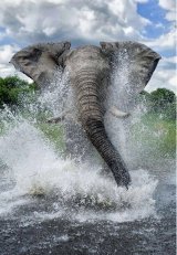 hughson gal 525f-570