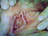slut wife likes cock