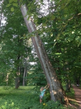 1cf300