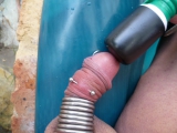 my cock