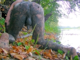 A boy with a dirty ass