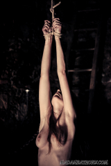 Nude teen in medieval torture