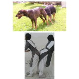 Full video on Xvideos2u.com