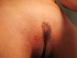 Ama.18.selb