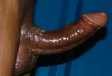 a fine dick for your sweet pussy
