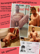 Gay expo sub