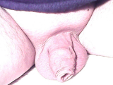mein Kleiner