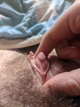 is my pussy crazy