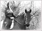 Black Beauty