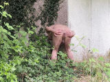 je suis nu dans la nature