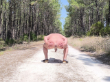 je me promene nu dans la nature