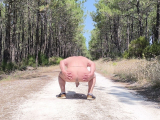 je me promene nu dans la nature
