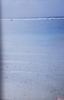 Manodate