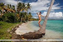 Coconut Beach - N