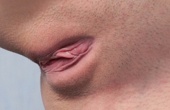Close Up Collection 19 - N
