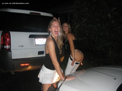 HQ AMATEUR ALBUM - N