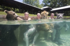 bear and girl - N