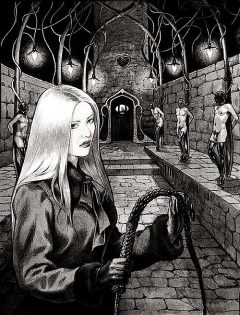 BDSM Submission 12 Femdom Male - N