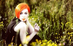 Readhead - N