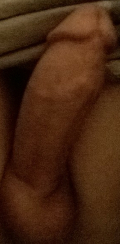 hawgleg9 hardsoft - N