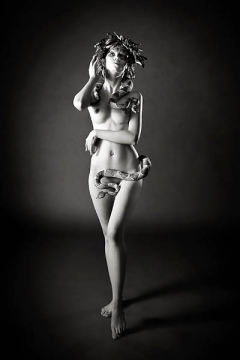Was there Medusa Gorgone a Beauty ? - N