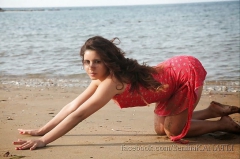 Seniha kanatli - N