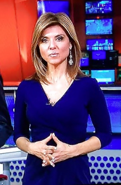Maria Stephanos Milf News Anchor Boston 15 - N
