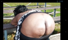 Some females ive seen around - N