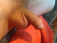 my cock - N