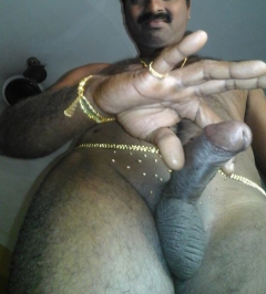 indian cock - N
