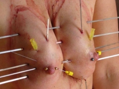 extreme pussy piercing - N