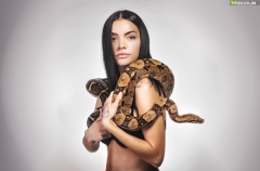 Snakey Girls - N